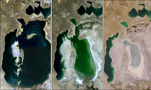 1989, 2003 OG 2008: Aralsj�en har skrumpet inn dramatisk ogs� etter Sovjetregimets fall. Bomullsdyrkingen i Usbekistan fortsetter. Foto: NASA/WIKIMEDIA