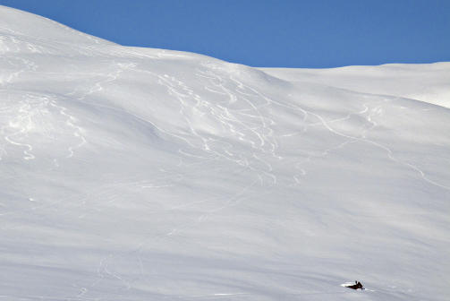 PUDDER: Mye sn� og g�y til fjells i Myrkdalen. Foto: Ole C. H. Thomassen