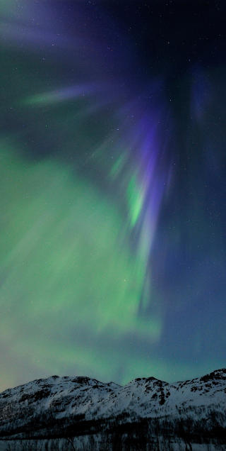 B�LGENDE: Nok et bilde fra g�rsdagens show p� Kattfjordeidet p� Kval�ya like utenfor Troms�. Foto: Bj�rn J�rgensen/Arcticphoto.no
