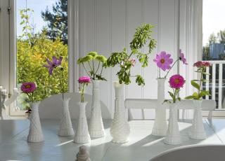 SOMMER PÅ BORDET: Let etter små vaser på loppemarked - og sett dem sammen i en gruppe. Foto:Siri Møller SOMMER PÅ BORDET: Let etter små vaser på loppemarked - og sett dem sammen i en gruppe. Foto:Siri Møller