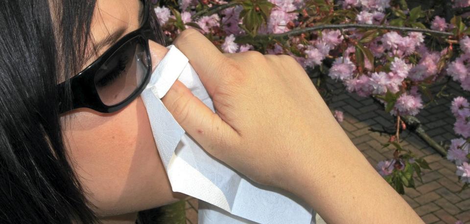 HAAA... TSJO! V�ren kan v�re en stri t�rn for pollenallergikeren. Illustrasjonsfoto: colourbox.com