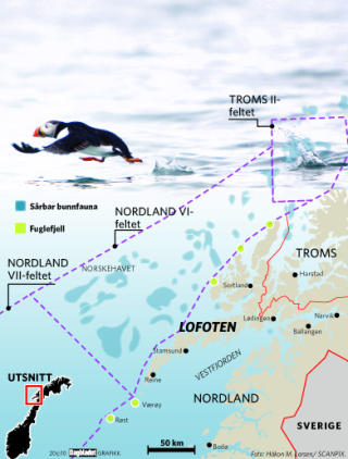 S�RBAR NATUR: De bl� markeringene viser Mareanos funn av s�rbar bunnfauna i Nordland 7, og de gr�nne prikkene Seapops kartlegging av fuglefjell langs kysten av Troms og Nordland. Grafikk: Dagbladet.