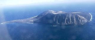 1999: Snart begynte det � vokse planter og hekke fugler p� �ya. Surtsey f�r 2 - 5 nye arter hvert �r. Foto: WIKIMEDIA