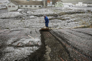 FJERNER ASKE: Bonden Bjarni Thorvaldsson rengj�r jordet sitt for vulkansk aske. Foto: REUTERS/Lucas Jackson/Scanpix