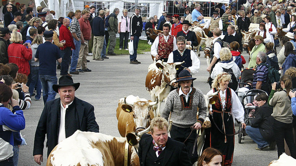 PARADE: Telemakrkyr og eiere i stakk og bunader. Foto: Dyrsku'n