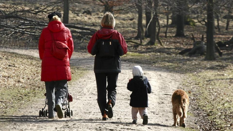 FAMILIEAKTIVITET: Ofte bidrar en hund til at hele familien beveger seg mer, barna utvikler tidligere empati og ansvarsf�lelse, og for enslige gir hunden godt selskap i tillegg til mosjon.  Illustrasjonsfoto: Colourbox.no