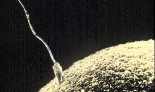 TROEN P� NATURVITENSKAP OG RASJONALITET: Med opplysningstiden kom ogs� naturalismen som medf�rte et nytt syn p� seksualdrift som naturlig og bra. Foto: WIKIMEDIA