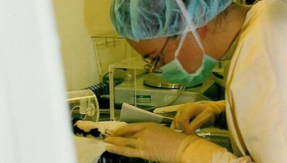 ROTTER OG CELLEGIFT: Labtekniker Solveig Garman-Vik (38) fikk kreft etter � ha blitt utsatt for kreftfremkallende stoffer under kreftfors�k p� Radiumhospitalet. Foto: Privat