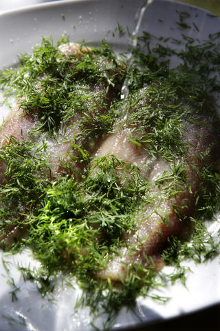 KJAPT: Hurtiggravet sild smaker bra etter et par timer.