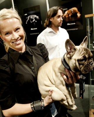 LUKSUSDYR: Den franske bulldogen Xena if�rt et halsb�nd pyntet med Swarovski-krystaller fra Black Label. Hege Haraldsen selger dem for 2700,- Hunden m� du betale adskillig mer for.  Foto: �istein Norum Monsen/DAGBLADET.