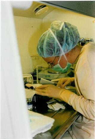 D�RLIG BESKYTTELSE: Utstyrt med sterile hansker og munnbind, jobbet Solveig sv�rt tett inntil dyrene hun behandlet. Selv om hanskene bare beskyttet i 3-4 timer, ble vi oppfordret til � bruke det samme paret lengst mulig for � spare penger, forteller hun. Det er naturlig � anta at noe av cellegiften ble tatt opp gjennom huden.
Foto: PRIVAT
