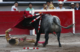 BLIR LIGGENDE: Jose Tomas blir liggende i ringen, alvorlig skadet. Foto: AFP