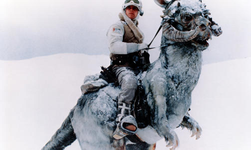JUBILERER: Denne m�neden er det 30 �r siden �Star Wars: Episode V - The Empire Strikes Back hadde verdenspremiere. Foto: Stella Pictures