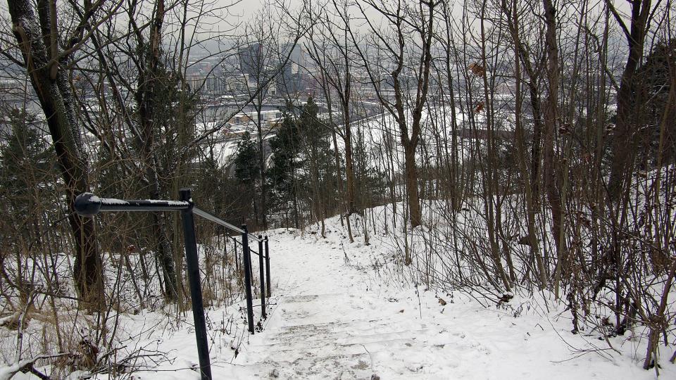 F�R HOGST: Stien nedenfor Ekebergrestauranten i vinter, f�r hogsten. Foto: Naturvernforbundet i Oslo/Akershus.