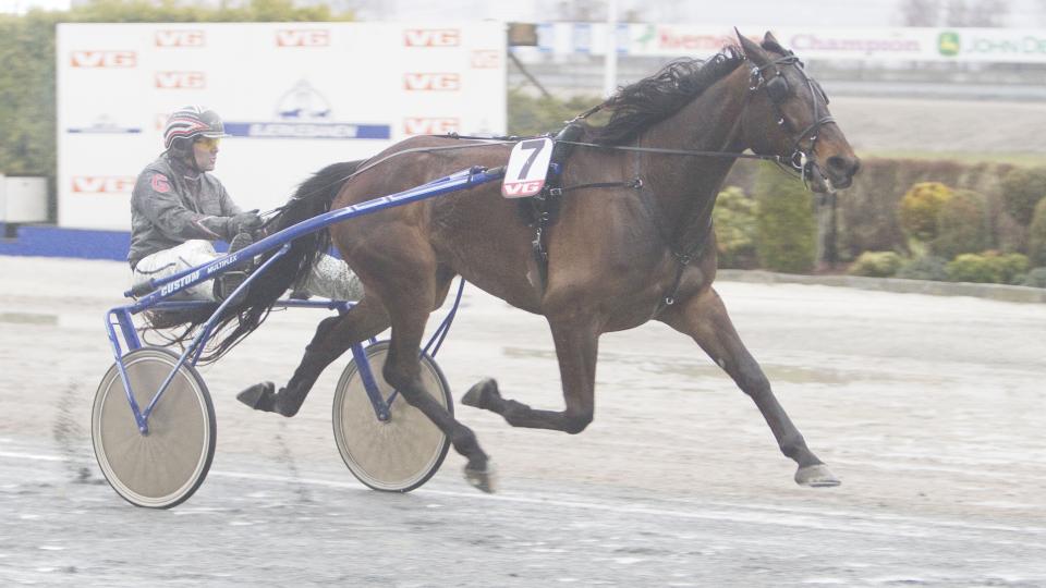 ST�RRELSEN BETYR NOE. Global Karanar er stor, sterk og ikke minst rask. Det vil konkurrentene f� merke p� l�rdag. Foto: HESTEGUIDEN.COM.