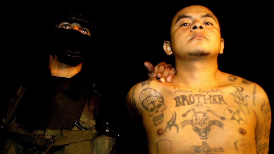KOPIERER MS13: Politiet i Oslo skal ha oversikt over cirka 40 personer som har tatt etter den kjente gjengen MS-13s tatoveringer, ritualer, kl�r og tegnspr�k. Det er ikke bekreftet eller sannsynliggjort noen direkte forbindelse med personer i Norge og operative gjenger i USA eller andre land. Her fra et medlem som ble p�grepet under en politiaksjon i Salvador tilbake i 2004. Foto: EPA/Ulises Rodr�guez/Scanpix