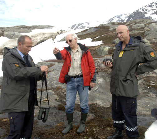 søker etter kvinner søker etter kvinner