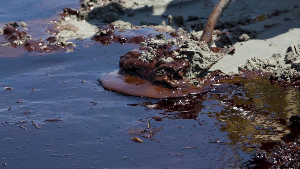 STORE KONSEKVENSER: Slik ser sanda ut p� strendene som ber�res av BP-katastrofen. Foto: Greenpeace/EPA/Scanpix