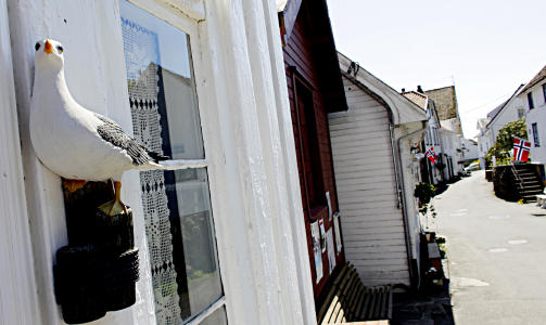 PYNT; Denne m�ken er av den stille sorten og den skiter ikke.
