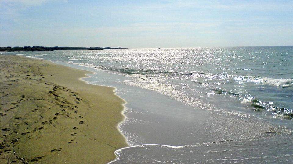 KANDIDAT: Borestrand p� J�ren i Rogaland. Foto: Tone Marie Stangeland