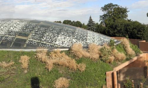 I VERDENSTOPPEN: Arkitekturen i elefantens hus er tegnet av Foster, som er verdenskjent arkitekt.  FOTO: K�benhavn Zoo