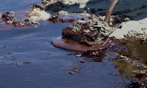 STORE KONSEKVENSER: Slik ser sanda ut p� strendene som ber�res av BP-katastrofen. Foto: Greenpeace/EPA/Scanpix