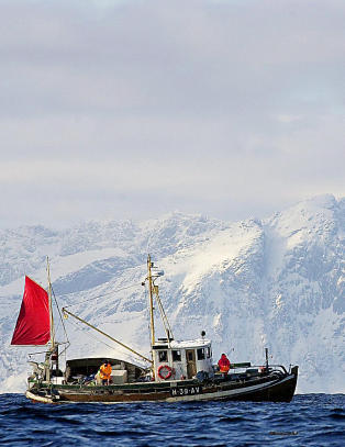 Ap-ja til olje i nord