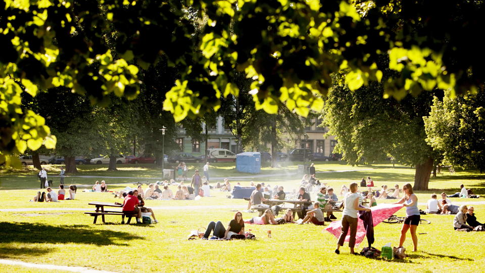 FULLE PARKER: Sofienbergparken i Oslo - og alle andre parker i Norge - er fulle av folk n� om sommeren. Men � drikke alkohol der, det er egentlig ikke lov. Foto: Stian Lysberg Solum / SCANPIX