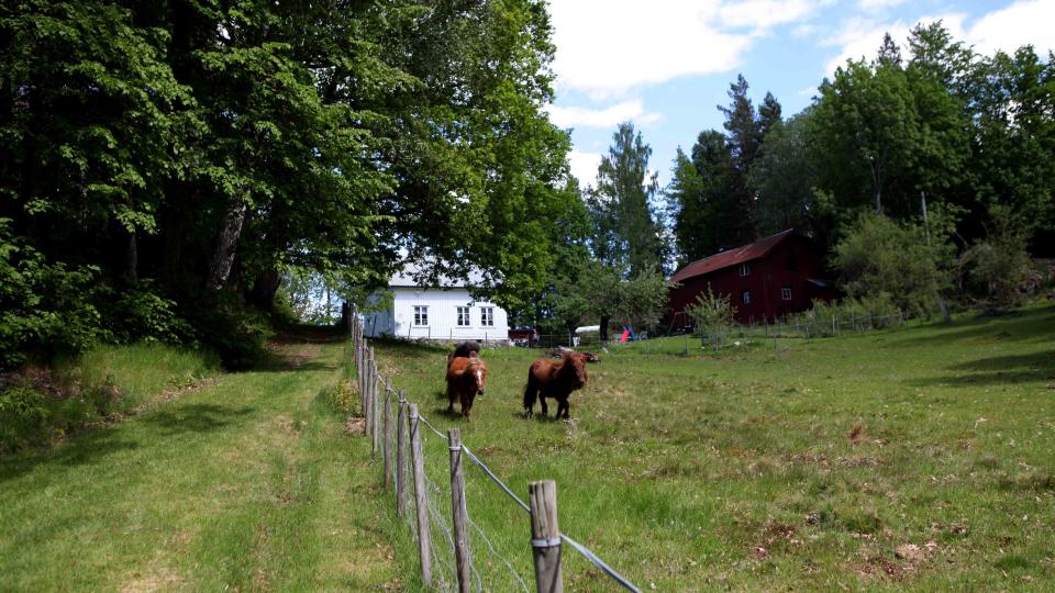 STOR�Y: Her skal �Farmen�-deltakerne tas hundre �r tilbake i tid, og f� bryne seg p� g�rdslivet som det den gang var. Foto: TV2