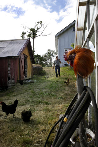 Kampen mot naturen: Viestad er tilbake p� S�rlandet.