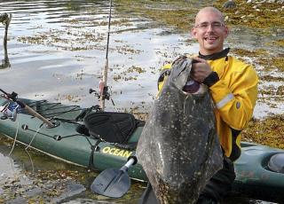 BIFANGST: Artikkelforfatteren med en helt ok kveite - tatt under steinbitfiske. Johan Svenson BIFANGST: Artikkelforfatteren med en helt ok kveite - tatt under steinbitfiske. Johan Svenson