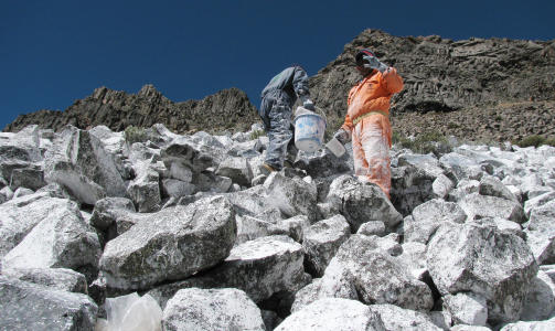 HARDT ARBEID: Delen av Andesfjellet i Peru som skal hvitmales ligger 4700 meter og havet. Arbeiderne f�r hjelp av lamaer til � frakte farge og utstyr. Foto: AFP PHOTO/DAN COLLYNS/SCANPIX