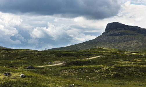 Foto: Terje Borud/Innovasjon NorgeMoskussafari 20. juni &mdash; 22. august g�r det hver dag safariturer fra Hjerkinnhus  hotell. dovreaktiv.no Ridetur med hest Fra Dovre g�r det hel- og halvdagsturer eller opptil seks dagers opphold. dovreaktiv.no Har du god tid kan det v�re en god id� � ta en avstikker opp  europavei 3. Tre timer og 190 km �st fra E6 ligger UNESCO-skatten  R�ros: 