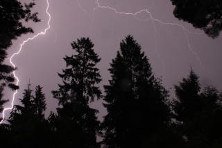  R�DTANGEN:  Asbj�rnsen og Moe-stemning p� Hurumhalv�ya i natt. FOTO: TORE MINSAAS.