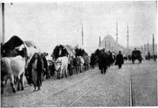 �HAN SOM HAR DRATT�: Muhadsjir er navnet p� muslimer som m�tte forlate sine hjemland. Kaukasus ble nesten t�mt for muslimer under krigen mot tsaren, mange av dem var tjerkessere, som disse i Istanbul (fra 1912). Foto: WIKIMEDIA