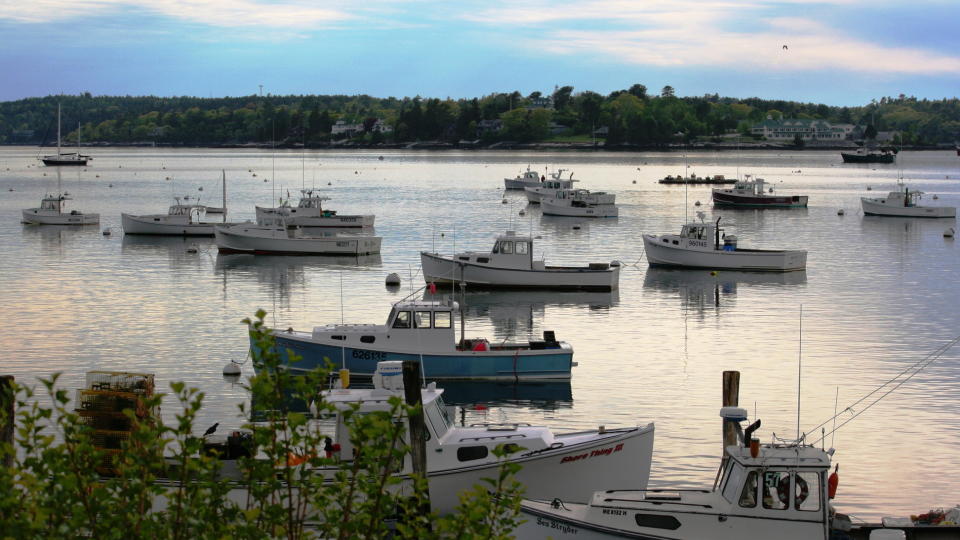 HUMMERFISKE: De ber�mte hummerb�tene pryder havna i Boothbay Harbor. Foto: Tone Vassb�