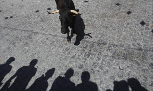 FORBUDT: Den spanske regionen Catalonia blir den f�rste p� det spanske fastlandet som gj�r tyrefekting ulovlig. Foto: REUTERS/Javier Barbancho/Scanpix