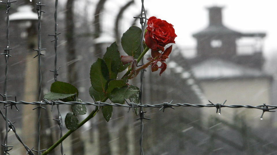  День памяти жертв Холокоста - фото 1