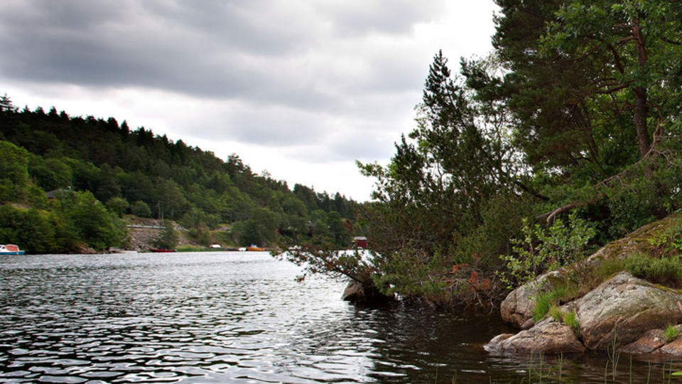 FALT I ELVA: 18-�ringen som omkom falt i Mandalselva og ble truffet av en propell etter p�kj�rselen. Foto: Tor Erik Schr�der