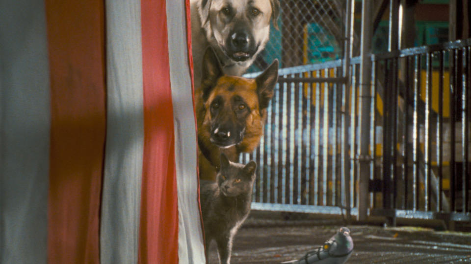 IKKE DREAM TEAM: Hundeagentene Butch og Diggs, katten Catherine og den snakkesalige duen Seamus skal liksom redde verden i den masete �Som hund og katt: Kittys hevn�.