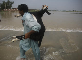 REDDER GEITA:  En pakistansk bonde redder med seg en geit i Mehmud Kot, sentralt i Pakistan i dag. Foto: P Photo/K.M.Chaudary