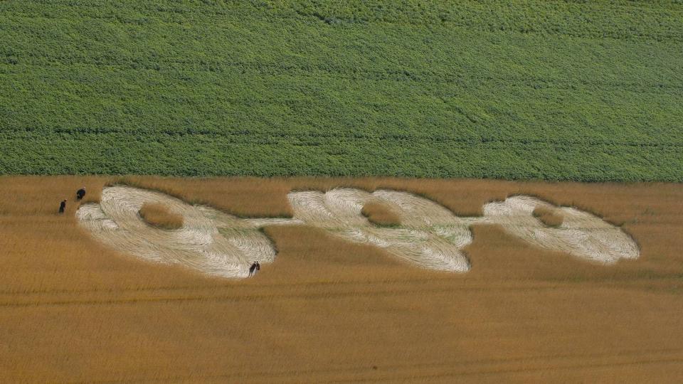 KORNSIRKEL I SKEIN: Denne kornsirkelen ble oppdaget i Skien s�ndag. Foto: Torbj�rn Berg/Dagbladet.