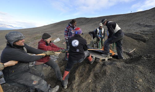 SKITTENT: Paleontologi er ikke glamor�st, og best�r av lange dager og uker med graving og tunge l�ft, bare avbrutt av sove og spisepauser. Minst �n av ekspedisjonsmedlemmene har f�tt store ryggsmerter i l�pet av �rets ekspedisjon, Foto: Hans A. Vedlog/Dagbladet