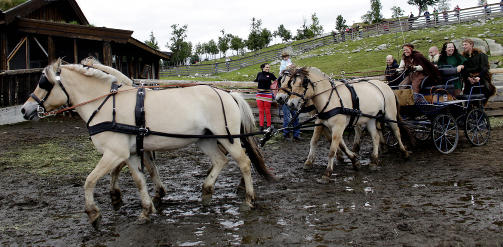 FIRSPANN: Maria Thorson Kolstad forteller at det er vanskeligere � kj�re med fire hester enn � st� p� ryggen av to travende fjordinger.