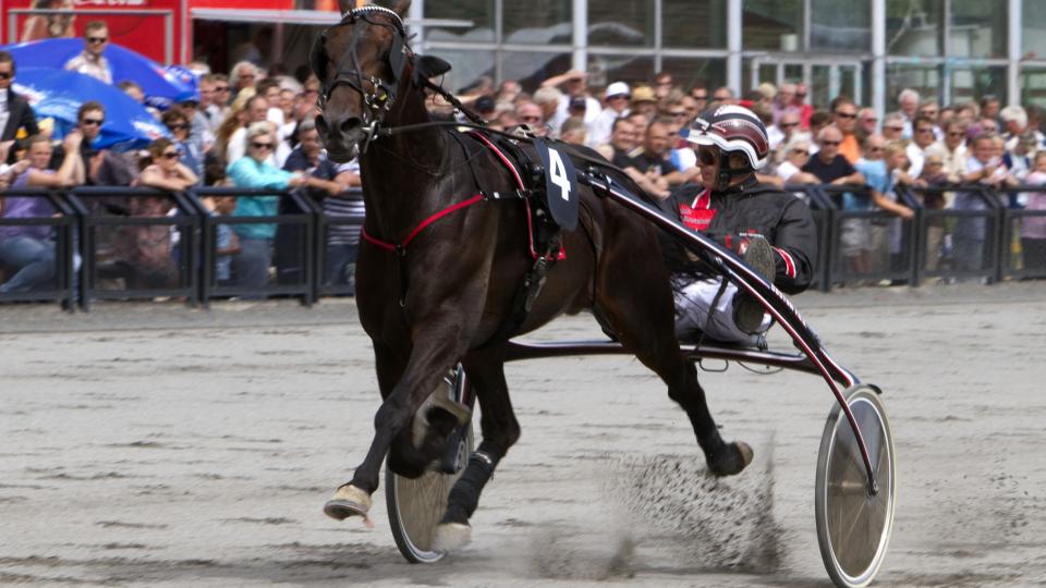 KJAPP BANKER. Her er Flawless Victory da han satte ny rekord p� 1.12,4. Ingen p� Bjerke onsdag er i n�rheten av den tiden. Foto: HESTEGUIDEN.COM.