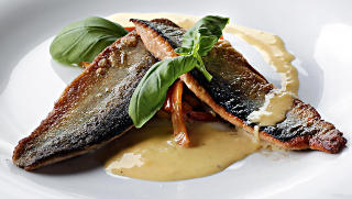 R�YE: Stekt r�ye, pepperrotsm�rsaus, sauterte gulr�tter og mango.