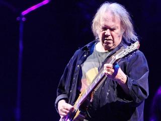 Foto: Stella Pictures