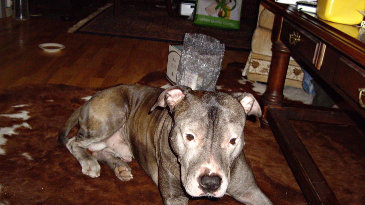 FARGET: King var farget svart da den ble funnet. Foto: Privat