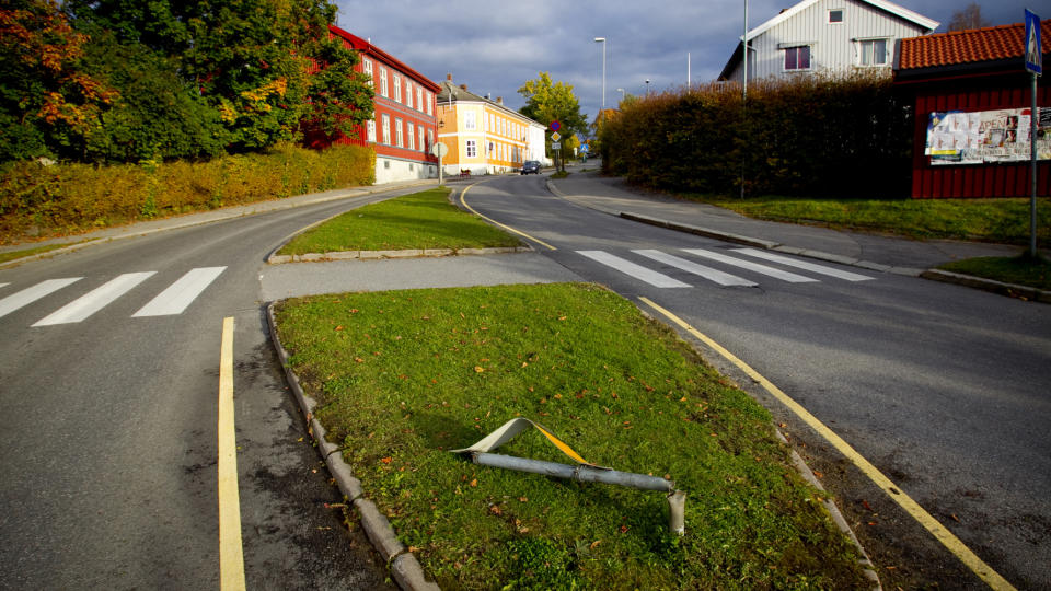 KASTET AV: Varild traff dette skiltet da hun ble slynget av panseret p� bilen. Foto: Bj�rn Langsem/DAGBLADET.