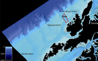 FANT NYTT KORALLREV HER: Mars i �r ble det avdekket uoppdagede korallrev som rager opp mot 40 meter over terrenget i omr�det Hola utenfor Vester�len i Nord-Norge. Kilde: MAREANO/STATENS KARTVERK SJ�